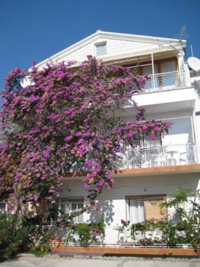 Apartman Graciela Perfect Location Gradac กราดัซ ภายนอก รูปภาพ