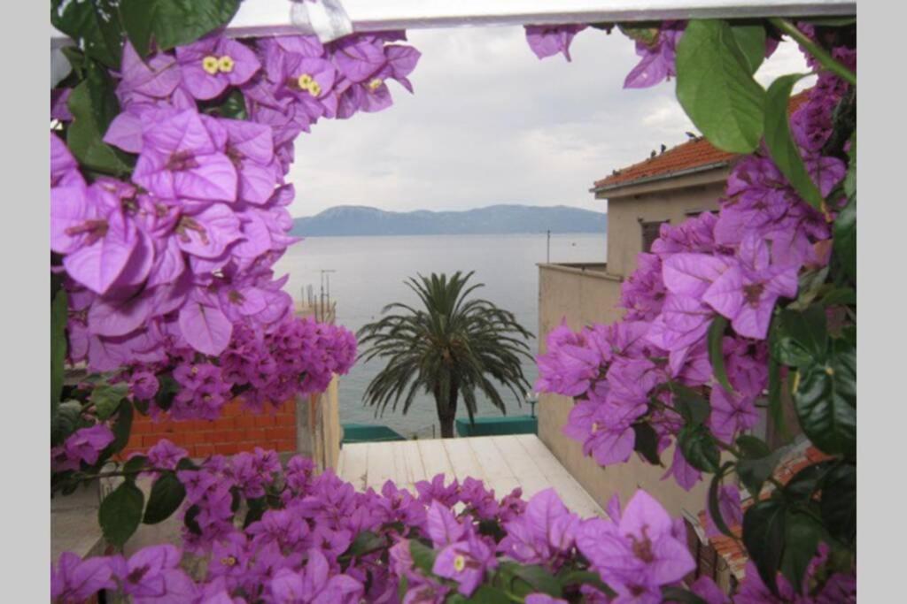 Apartman Graciela Perfect Location Gradac กราดัซ ภายนอก รูปภาพ