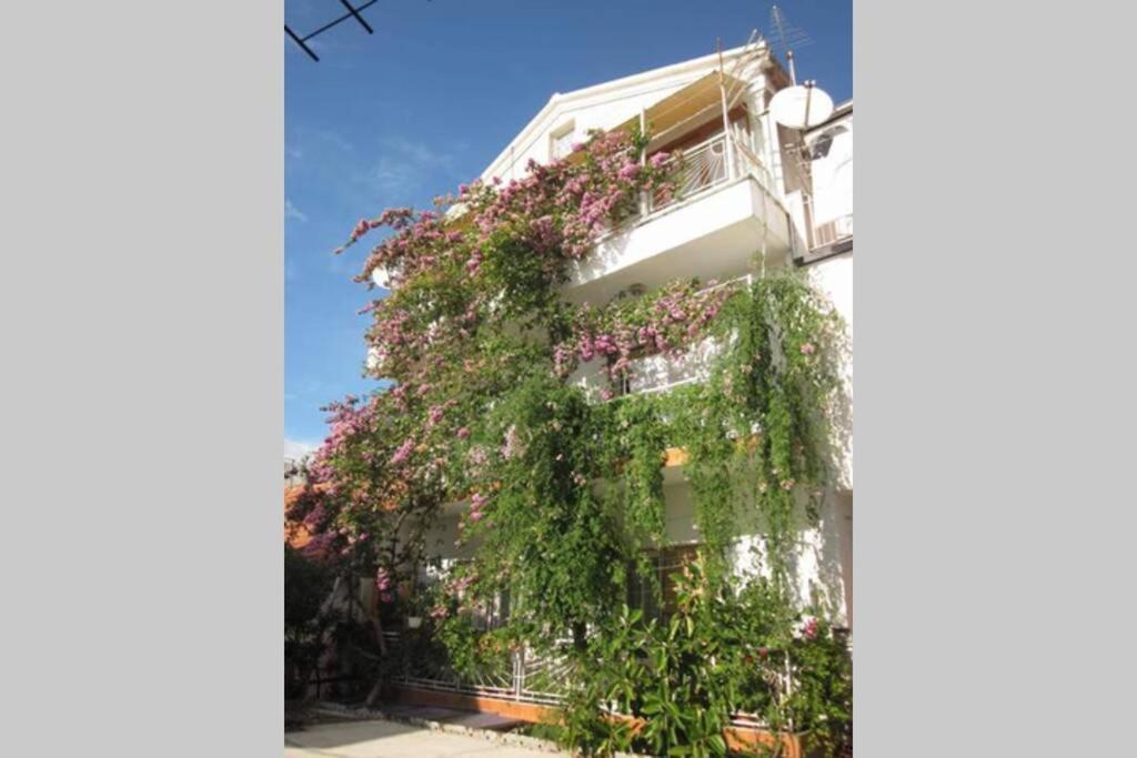 Apartman Graciela Perfect Location Gradac กราดัซ ภายนอก รูปภาพ