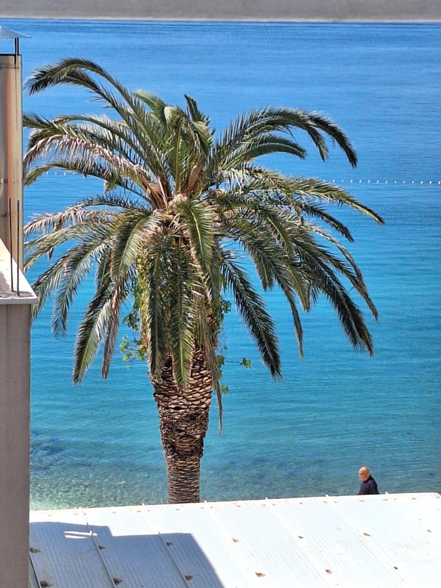 Apartman Graciela Perfect Location Gradac กราดัซ ภายนอก รูปภาพ